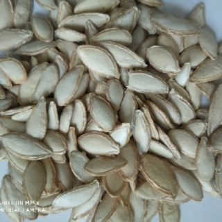 Hạt giống bí siêu ngọn 20 hạt