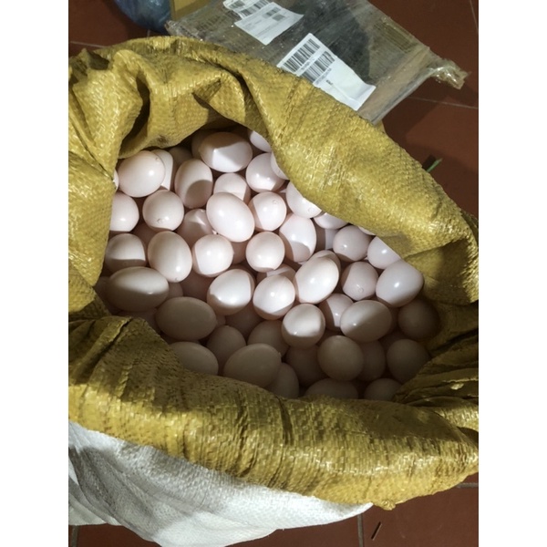 Trứng bồ câu giả loại màu hồng