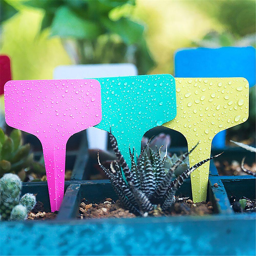 PINEVN Bộ 10 Miếng Dán Đánh Dấu Cây Trồng Hình Chữ T Bằng Nhựa PVC