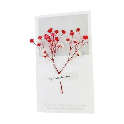 🍁Nhánh hoa khô Baby làm đồ handmade 🍁phụ kiện chụp ảnh🍁hoa khô nguyên liệu