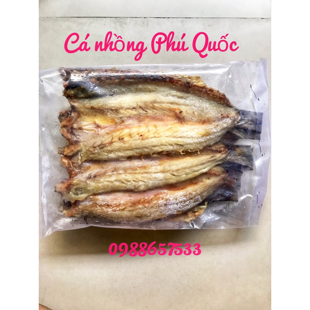 CÁ NHỒNG PHÚ QUỐC