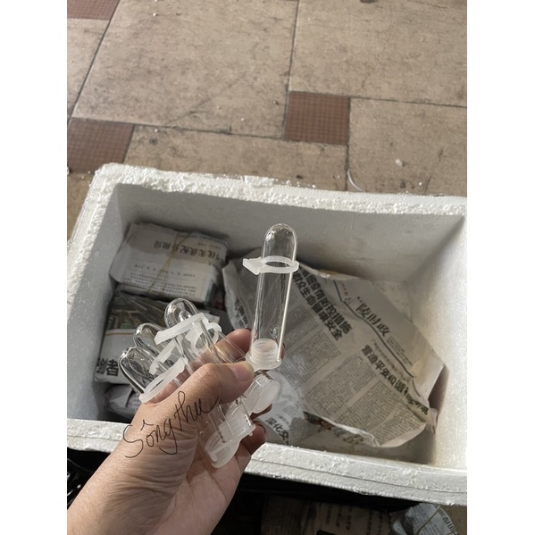 Ống thuỷ tinh lồng khuyên lùn, khuyên vuông