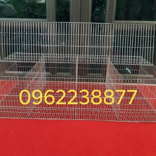 Lồng thỏ thịt chia ô