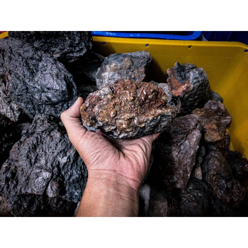 Đá Frodo Siêu Vân | Trang trí Setup Bể Thủy Sinh, Biotope,... | Mua Nhiều Giảm Giá.