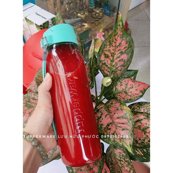 Bình nước Lohas Flask 750ml (1 bình)