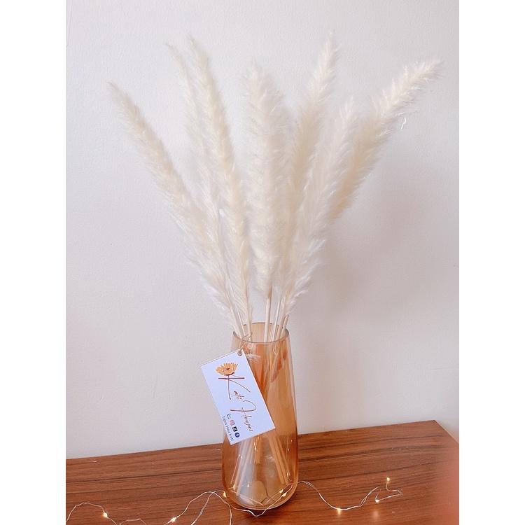 Cây lau khô decor, trang trí Vintage, hoa khô trang trí