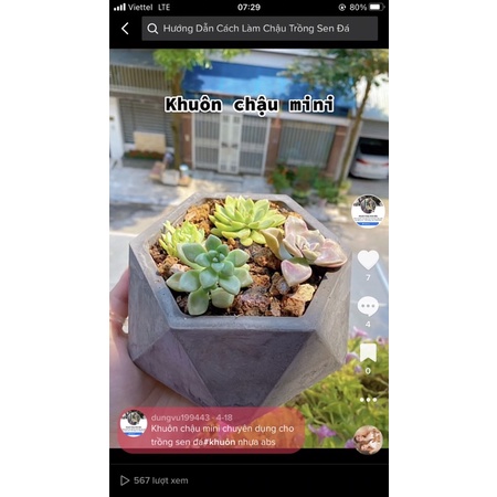 Khuôn chậu abs mini dùng trồng cây mini, sen đá