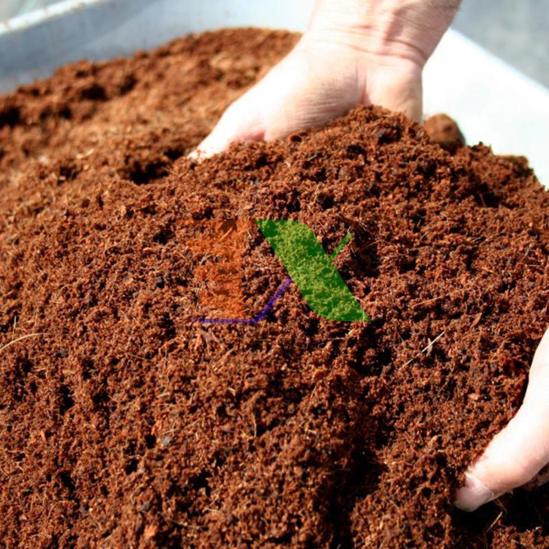 Xơ dừa trồng rau, Mùn dừa ươm hạt, mụn cám sơ dừa ươm cây Trồng hoa (40 lít)