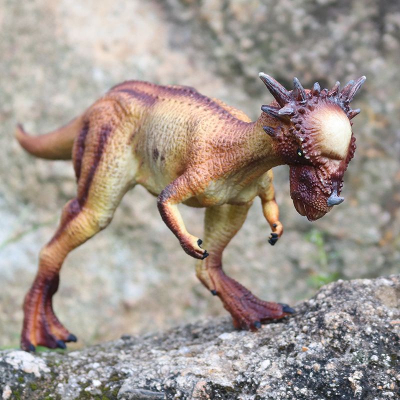 Đồ chơi mô hình khủng long Pachycephalosaurus