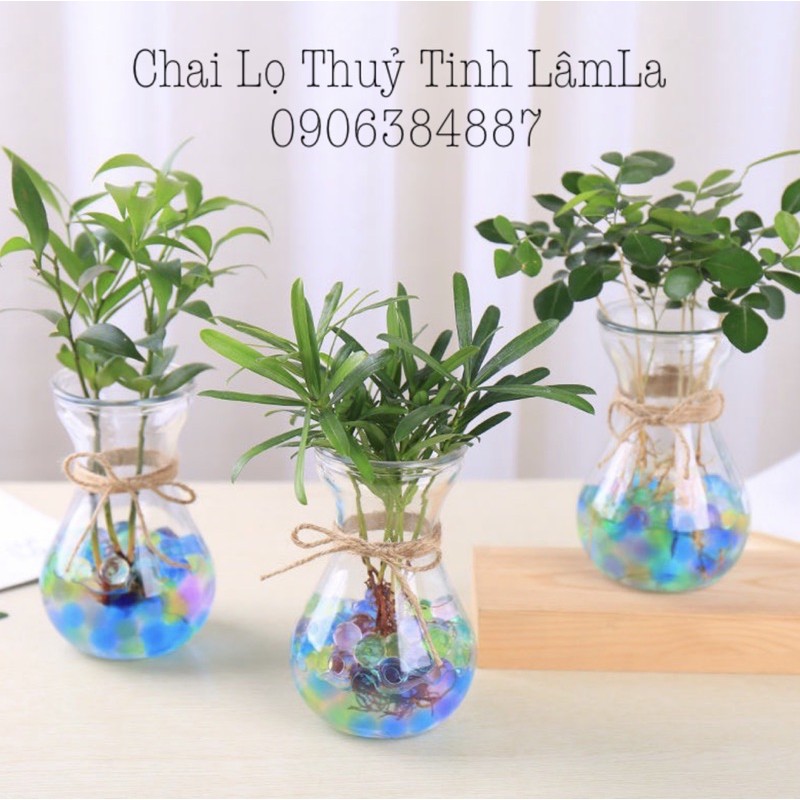 Lọ Hoa Thủy Tinh , Bình Bông Loe Thuỷ Tinh 400ml | Cắm Bông , Trang Trí , Trồng Cây Đựng Nước Ep