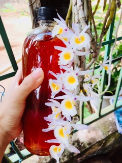 Mật ong hoa cà phê Đak Lak 1 lít