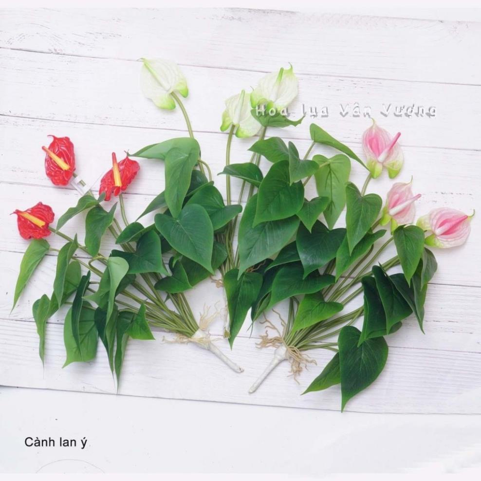 Cây giả - Cây Hoa Lan Ý  Cao Su 3 bông 18 lá