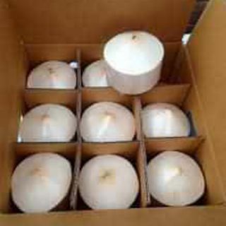 Dừa xiêm bến tre