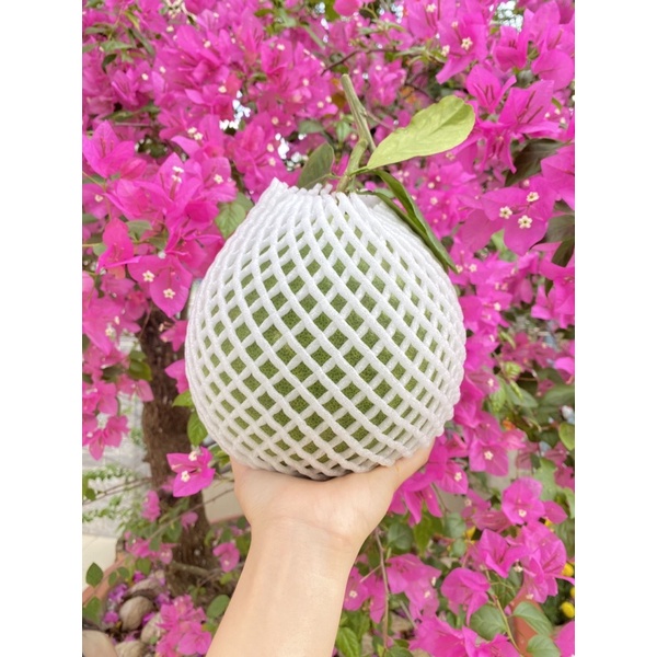 1kg xốp không360 cái