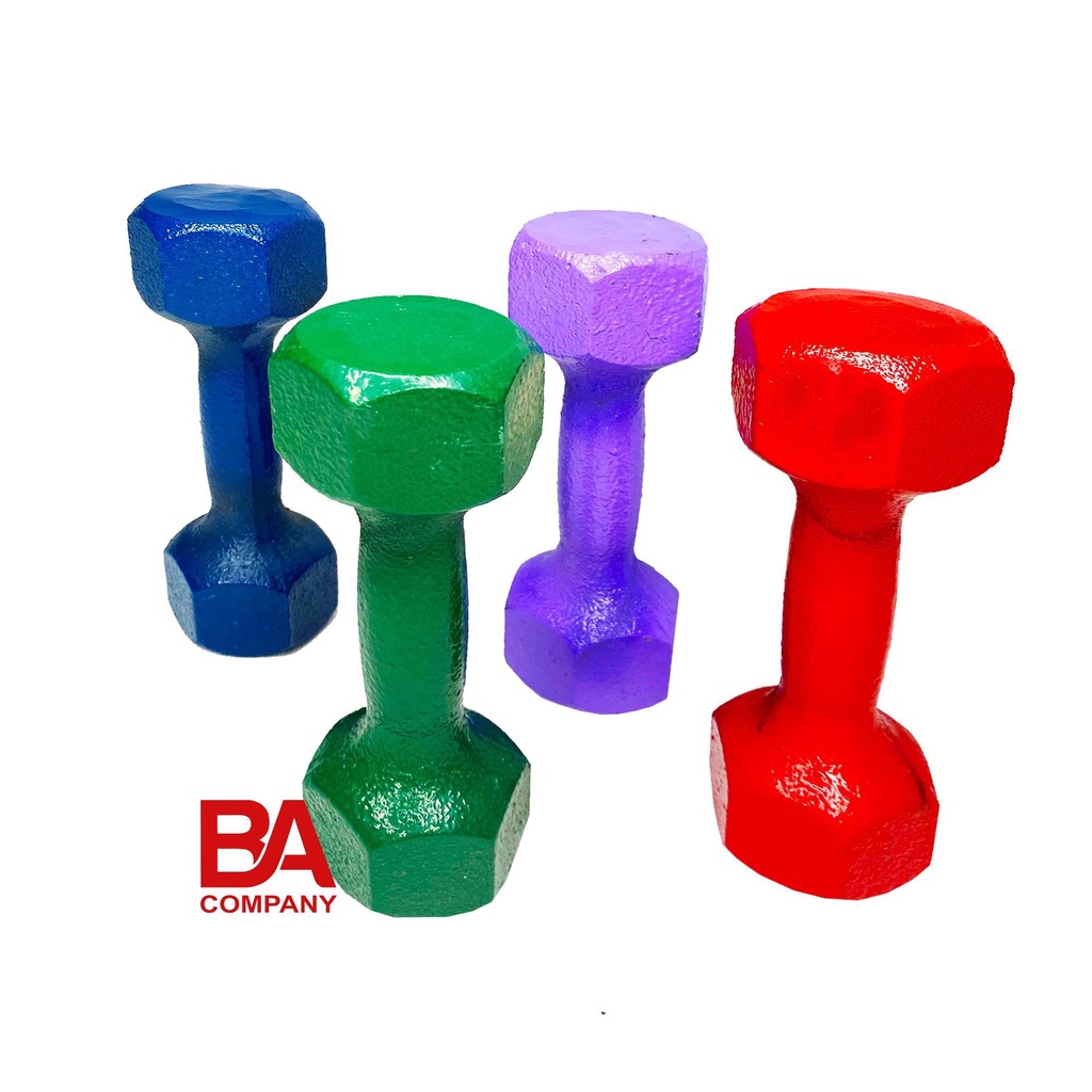 Bộ 2 tạ tay 2kg gang đúc nguyên khối, tạ tập gym yoga, dụng cụ thể thao binhansports