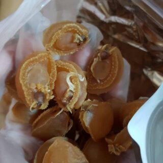 [FREESHIP 99K TOÀN QUỐC]Bào Ngư trân châu HK