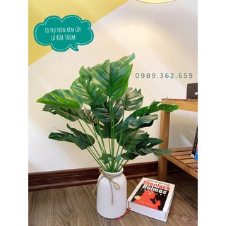 Combo cây lá xẻ kèm lọ hoa