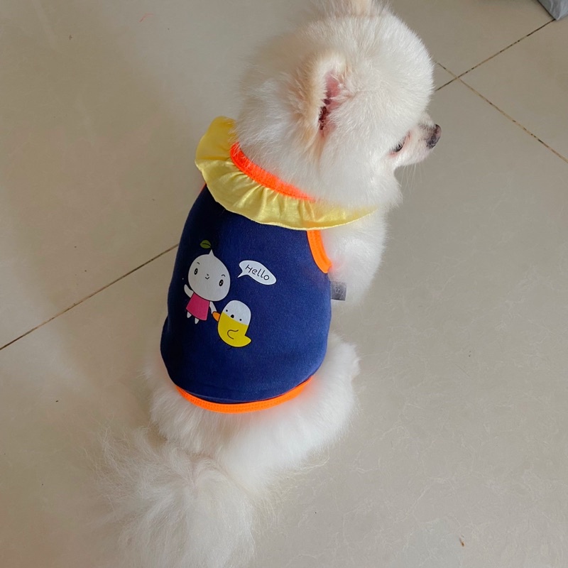 Quần áo chó mèo áo dây cổ bèo giá rẻ