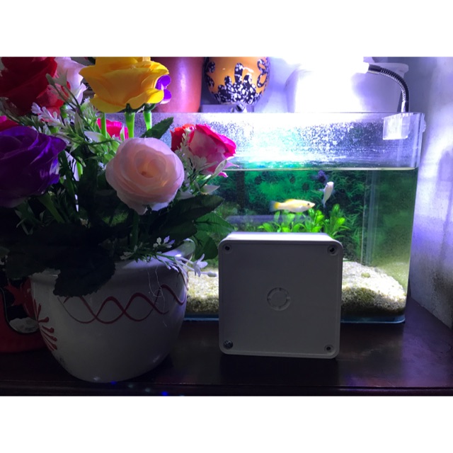 Hộp kỹ thuật điện - hộp kỹ thuật camera hộp kín thi công ngoài trời