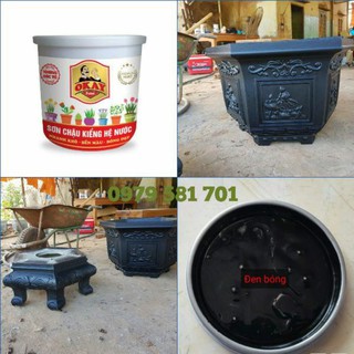 Sơn Chậu Kiểng Màu Đen Bóng Hệ Nước Lon 1kg & tặng cọ