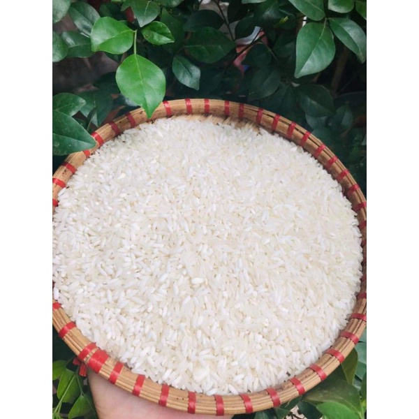 Gạo Sen cù Mường Khương 5kg- Đặc sản Tây Bắc