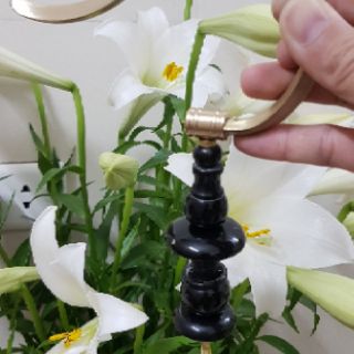 Nậm (Bầu, bí) sừng cho lồng Mi...
