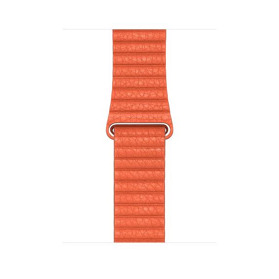 Dây đeo apple watch bằng da, dây đồng hồ apple watch cho apple watch series 3/4/5/6/7/8 - Techroom.vn - leather loop