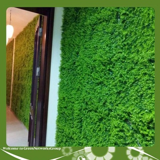 Cỏ tai chuột là loại cỏ nhân tạo - hàng loại 1 kích thước 40 x 60cm