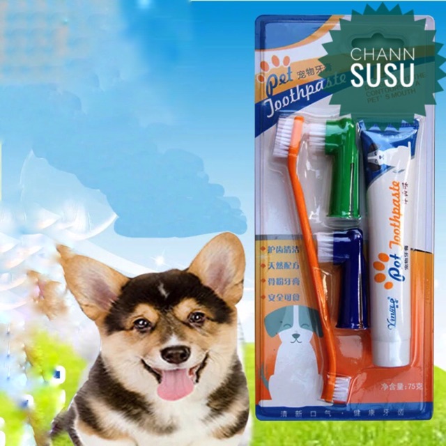 Bộ bàn chải đánh răng và kem đánh răng cho chó mèo thú cưng