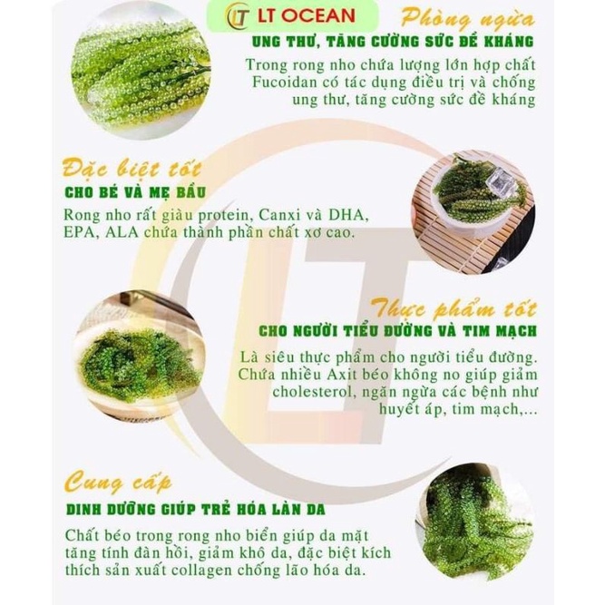 (Rẻ vô địch)2kg rong nho tách nước Nha Trang_Khánh Hòachất lượng, giá cạnh tranh freeship❤