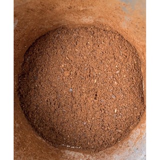 Cà phê mộc robusta nguyên chất 100g