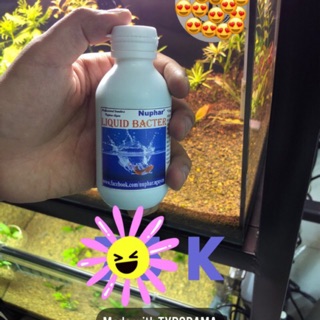 Liquid Bacter -Dung dịch chống sốc cho cá