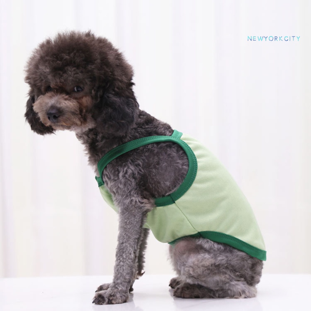 Áo Hai Dây Sát Nách In Hình Quả Bơ Khủng Long Dễ Thương Cho Cún Cưng