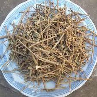 Hạt giống cây cà gai leo (0,2g)