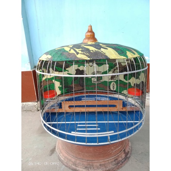 Lồng cu gáy size 40