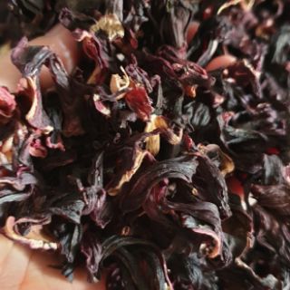 1KG HOA ACTISO ĐỎ - HIBISCUS
