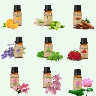 (Mua lẻ giá sỉ) Tinh dầu Thiên Hương nguyên chất 10ml có kiểm định giúp khử mùi, thư giãn.