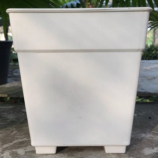 Chậu Nhựa vuông trồng cây dày dặn