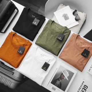 Áo phông massimo Dutti vải xước