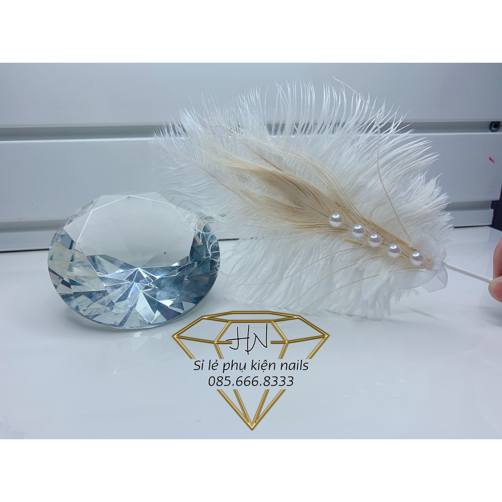 vương miện chụp ảnh