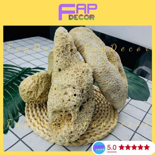 Đá Làm Hòn Non Bộ, Đá Ông Thủy Sinh, Đá Vôi Cứng Họa Tiết Lỗ Làm Hòn Non Bộ, Thủy Sinh Decor Nhà Cửa - FapFood