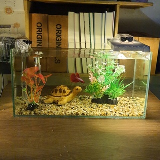 Set bể cá 33 cm và 8 món (bể, sỏi nền, máy lọc, men vi sinh, cây nhựa mini và vừa, led đom đóm gắn xốp, pk rùa)