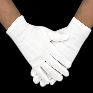 Găng tay cotton trắng cao cấp đa năng