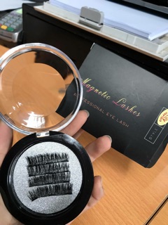 Mi giả nam châm
