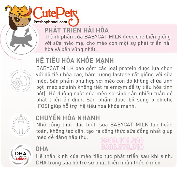 Thức ăn cho mèo Royal Canin Baby Cat 34 Một Cân Hạt cho Mèo mẹ bầu và mèo sơ sinh - CutePets