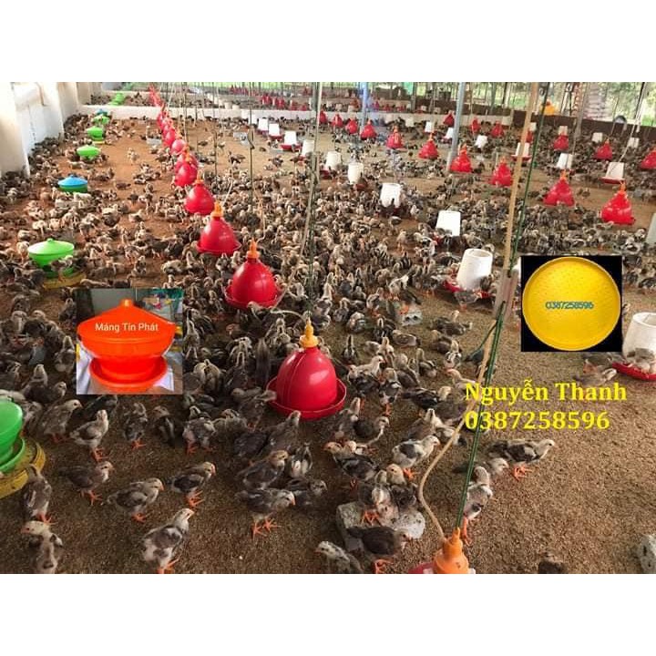 Máng Uống Nước Tự Động