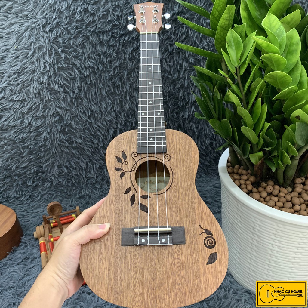 ĐÀN UKULELE CONCERT 23INCH HOA LÁ