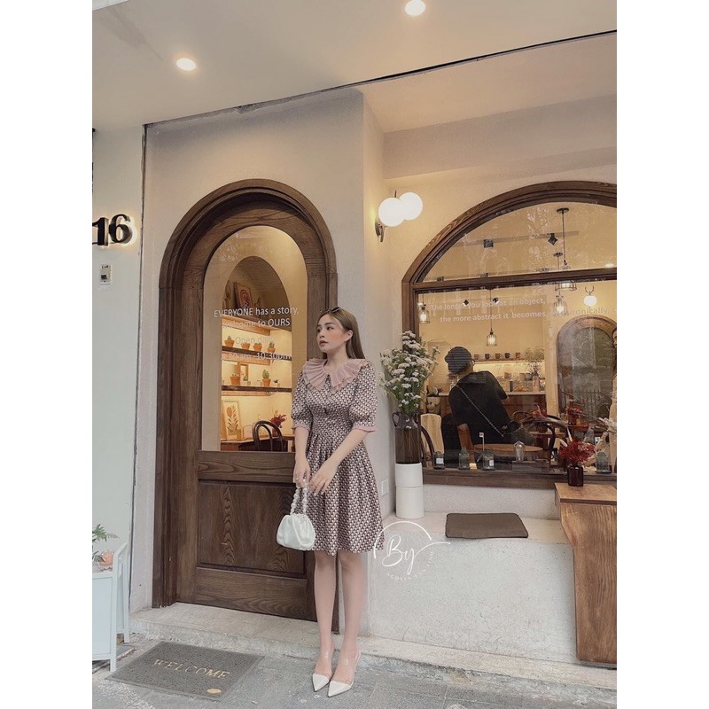 VÁY HOẠ TIẾT BI CỔ BÈO