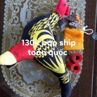 Com bo 4 món tập lực cho gà đá