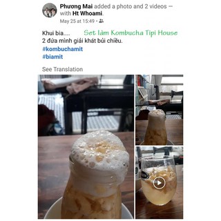 Scoby - nấm thủy sâm, làm dấm trà Kombucha